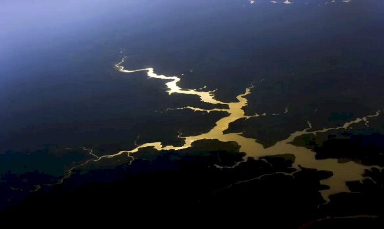 Fundo Amazônia completa 17 anos com novos investimentos