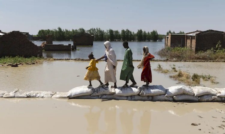 Exposição em São Paulo mostra eventos climáticos na vida de refugiadas