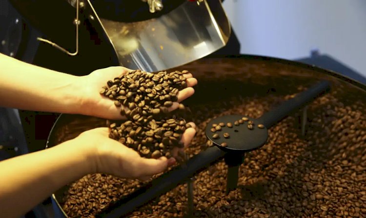 Associação de cafés especiais apoia medidas do Plano Brasil Soberano