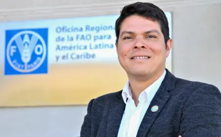 Combate à gripe aviária depende de articulação e abordagem integral