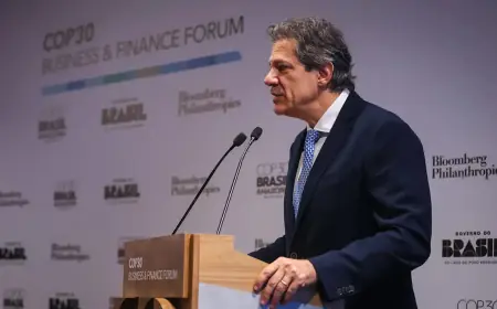 Haddad diz esperar US$ 10 bi para fundo de proteção às florestas