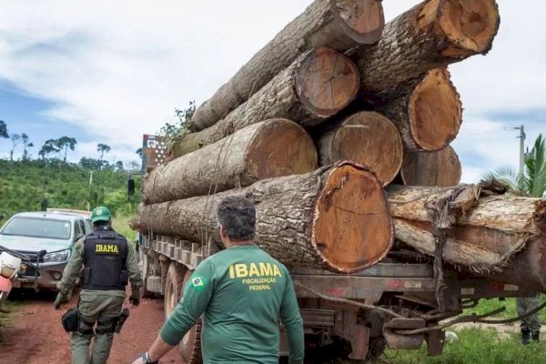 AGU permite cobrança de R$ 29 bilhões em multas ambientais do Ibama