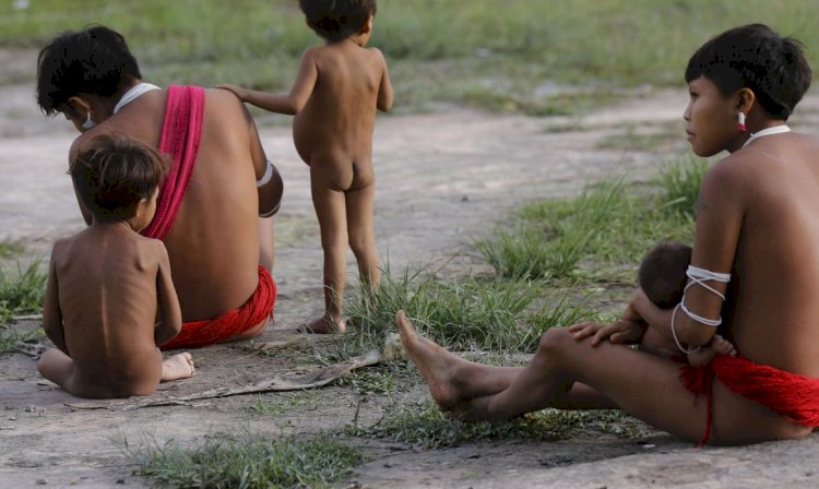 Emergência na terra yanomami só pode terminar com política perene