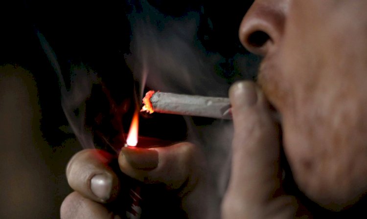 Campanha da OMS alerta sobre malefícios do tabaco ao meio ambiente