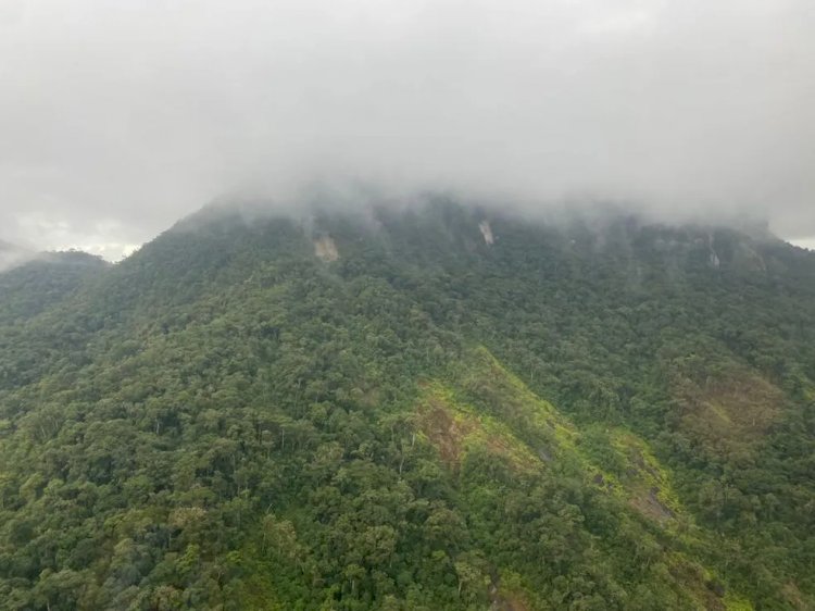 Avião desaparece em área de serra da Mata Atlântica no Paraná, e PM inicia buscas por passageiros