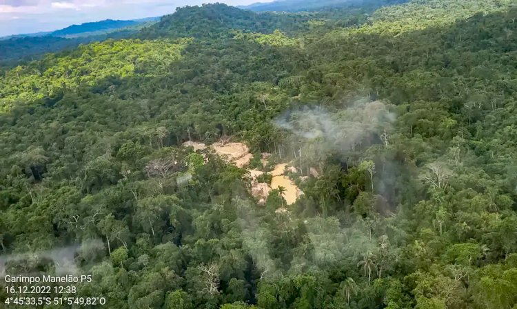 Comissão do Senado aprova porte de arma a agentes da Funai