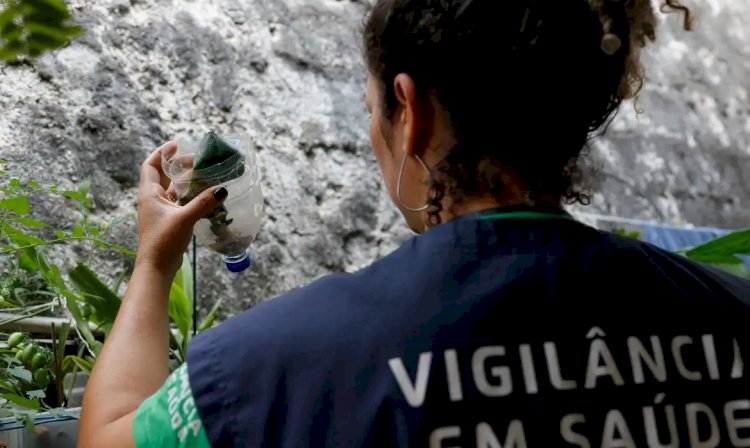 Minas Gerais confirma segunda morte por dengue