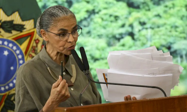 Desmatamento no Cerrado tem redução de 12,9% neste ano