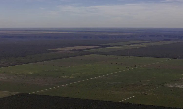 Em meio à expansão do desmatamento, Piauí debate nova lei ambiental