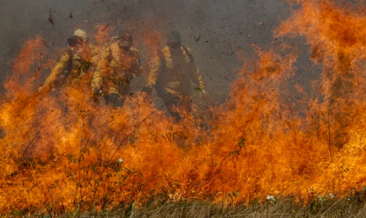 “Estamos em uma das piores situações”, diz Marina sobre Pantanal