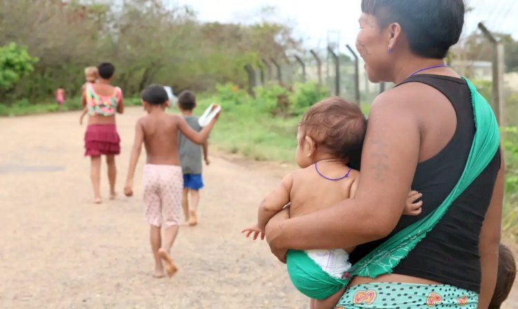 Conab faz leilões para compra de cestas de alimentos para os yanomami