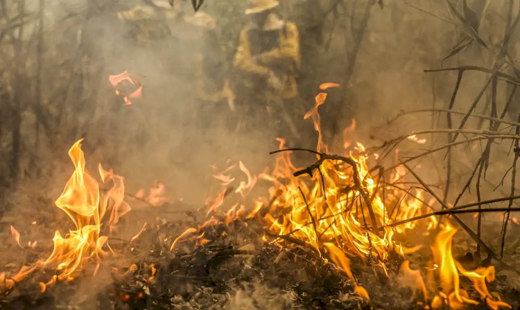 Governo destina R$ 137,6 milhões para combate a queimadas no Pantanal