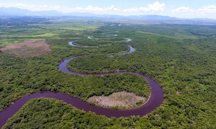 Acordo viabiliza unidade de conservação em Guapimirim, no Rio