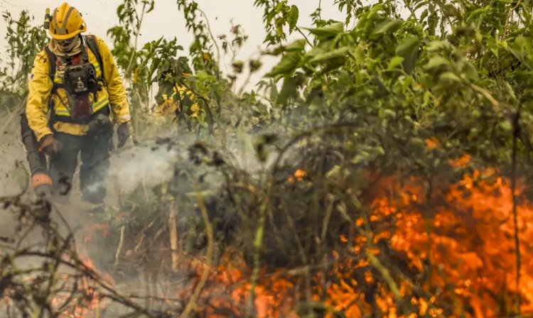 Brasil já registrou mais de 154 mil focos de calor este ano