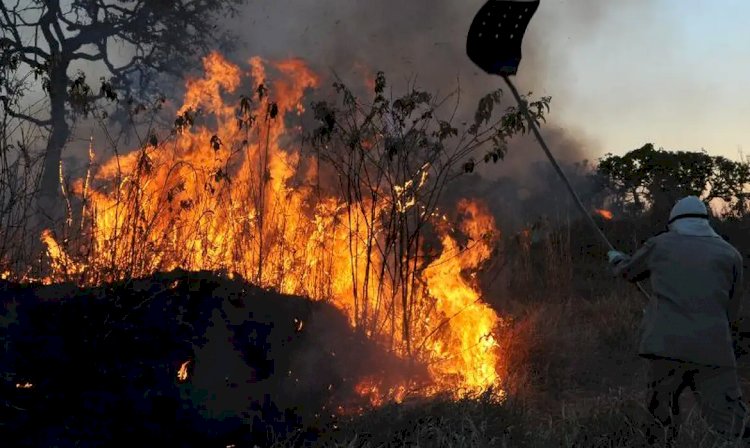 MPF aciona justiça para contratação de brigadistas contra incêndios