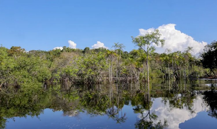 Rio Negro pode passar por pior seca da história ainda esta semana