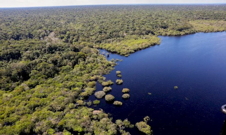 Cinco países aderem a fundo para conservação de florestas tropicais