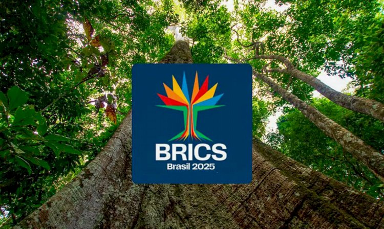 Brics têm mais de 40? população e 37% do PIB mundiais