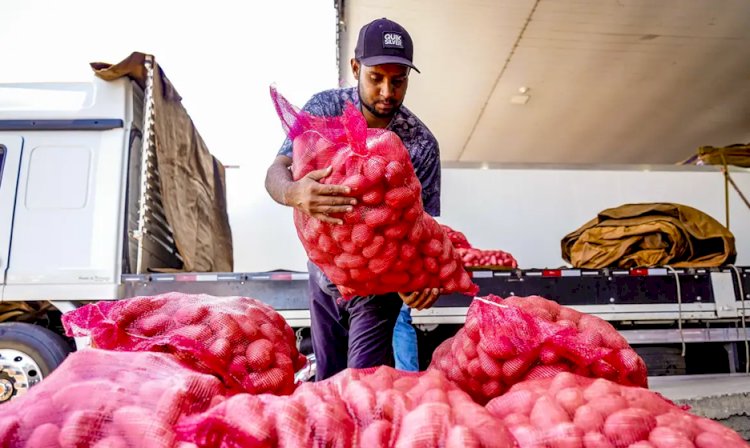 Conab aponta queda de preço da batata e alta da cebola e tomate