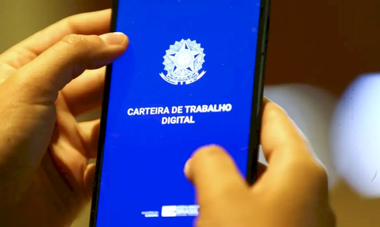 Empregos com carteira assinada fecham 2024 com volume recorde