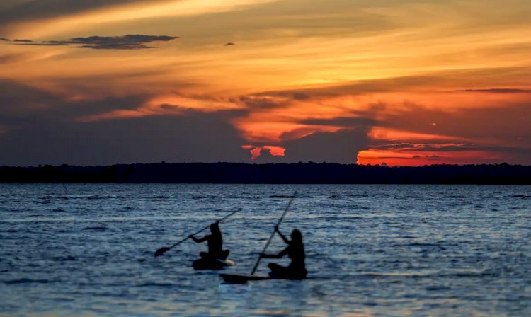 Finanças pautam nova rodada da COP16 da Biodiversidade em Roma