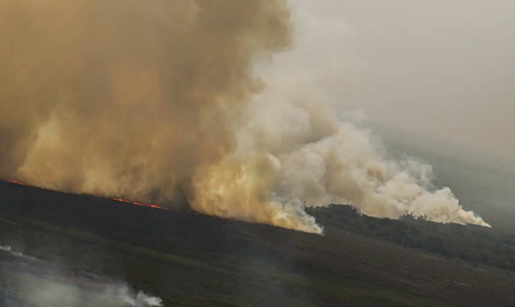 Dino homologa parcialmente plano anti-incêndios na Amazônia e Pantanal