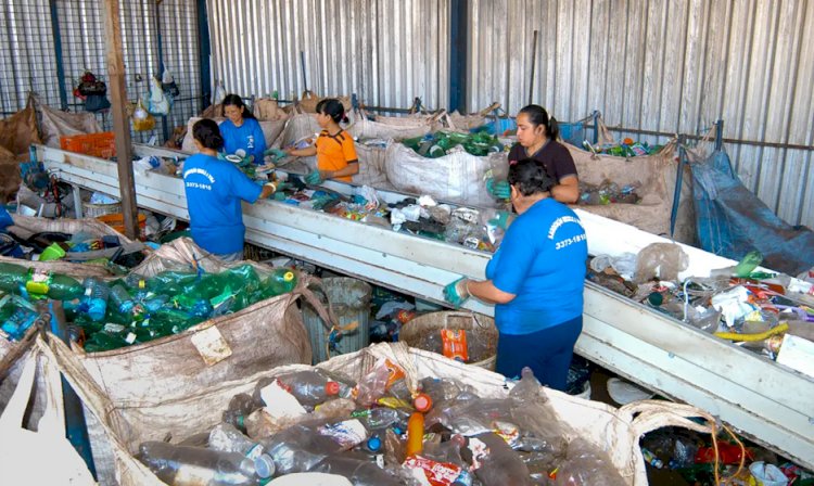 Em dois anos, país aumenta reciclagem de embalagens PET em 14%