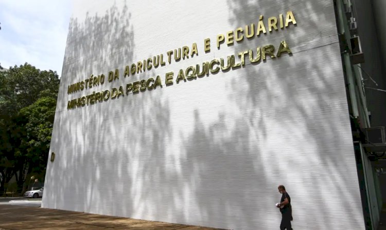 Sete casos de doenças respiratórias em aves são investigados no país