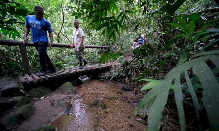 Confira os principais cuidados a serem tomados ao fazer trilhas